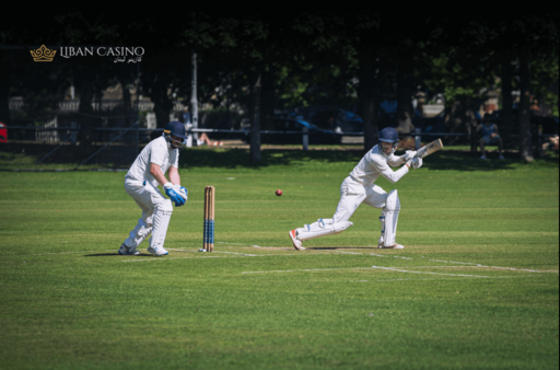 Two cricket players.